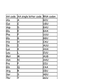 DNA Code Break