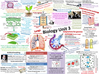 B3 AQA Biology Revision Posters (new spec)