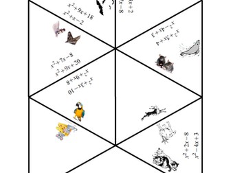 Factorising Quadratics Tarsia with Pictures