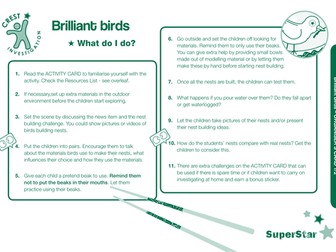 Brilliant Birds SuperStar activity