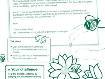 Bumblebee Mystery SuperStar activity