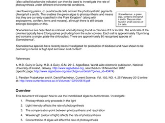 Photosynthesis practical - using algal balls