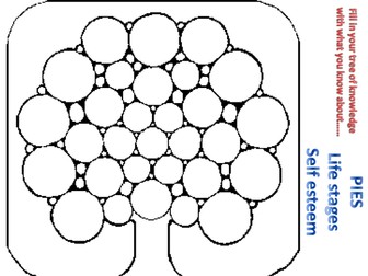 KS4 Health and social care: Care needs