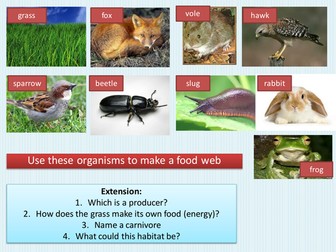 Who eats who: food webs and predator/prey