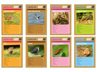 Wildlife Watch's Wildcards game