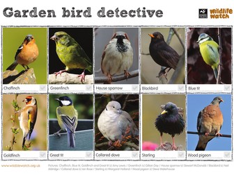 Garden Bird Spotting Sheet