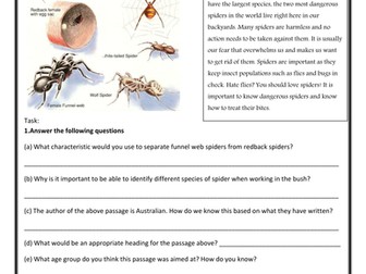 Spiders in Australia. Invertebrate Classification.