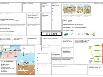 OCR 21st century B3 revision worksheet