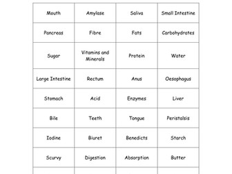 Food and Digestion Bingo