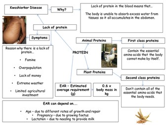 PPT of Protein and lack of protein in the body