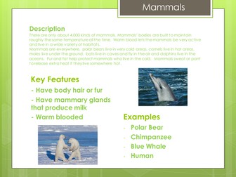 Vertebrate Groups Information Posters + Table