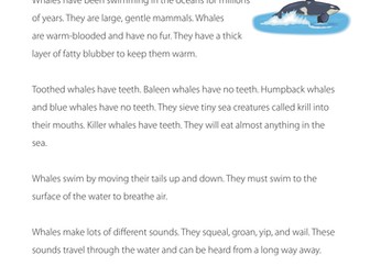 Reading comprehension: Whales (non-fiction)