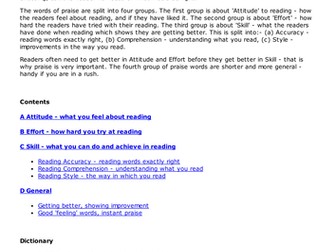 Peer tutoring: Dictionary of praise