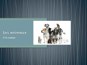 BAGS - Adjectives that go before the noun