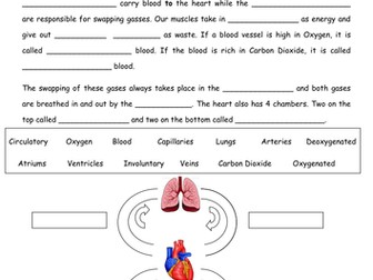 The heart and circulatory system cloze procedure