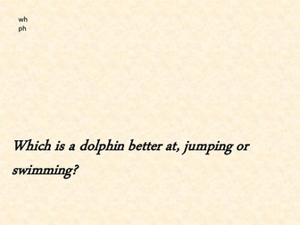 Phase 5 sentences to read or write