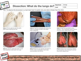 Lung dissection guidance sheet