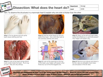 Heart dissection guidance sheet