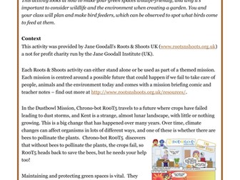 Make and Watch a Bird Feeder