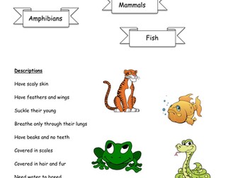 Sheet to construct diagram of vertebrate groups