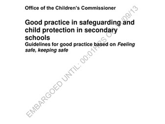 Good Practice Guidelines