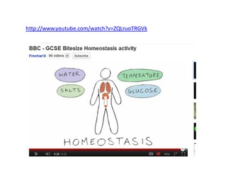 Homeostasis and Sensitivity