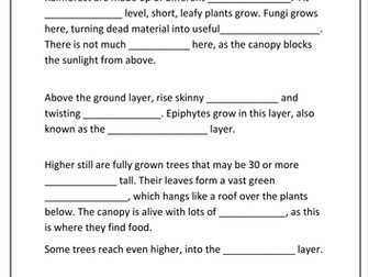 Rainforest Activities