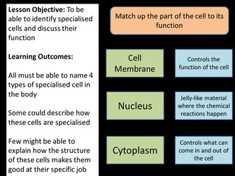 Specialised Cells