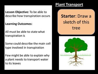 Plant transport