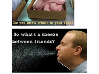 Science Displays Secondary