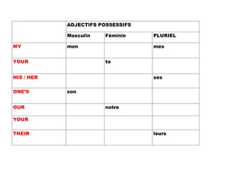 Possessive adjectives