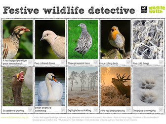 Festive Wildlife Spotting Sheet