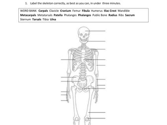 Range of Movement around a Joint - AS Dance Unit 1