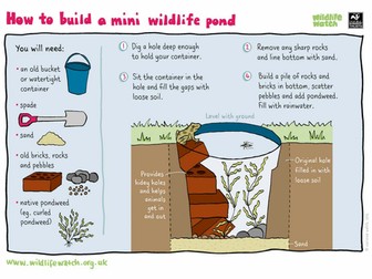 Build your own mini pond