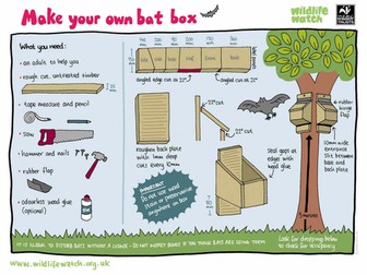 How to make a bat box