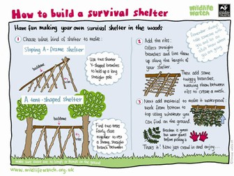 How to build a survival shelter