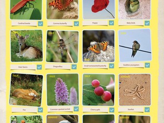 Summer Stuff Wallchart