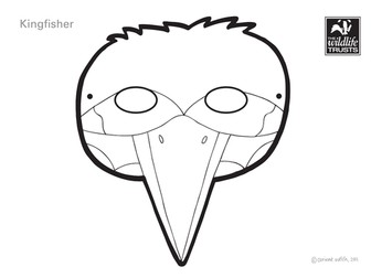 Kingfisher Face Mask