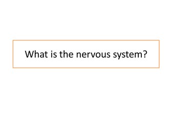 The Nervous System powerpoint