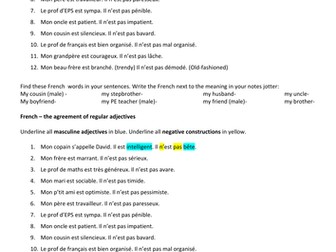 Adjective agreement -character personality writing