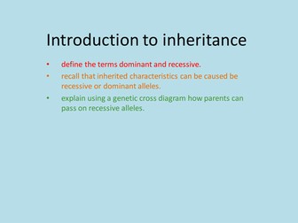 Introduction to Inheritance