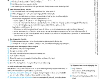 SANE Steps: How to help - Vietnamese