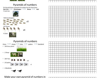 Pyramids of numbers and biomass for lower ability