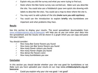 Writing Frame For Young Scientists