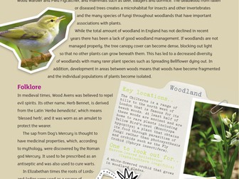 Woodland Habitat Guide