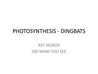 Dingbats Photosynthesis