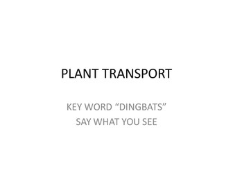 Dingbats Plant Transport