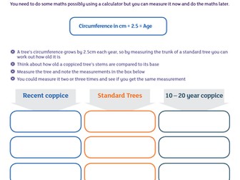 Investigation - Hug a Tree