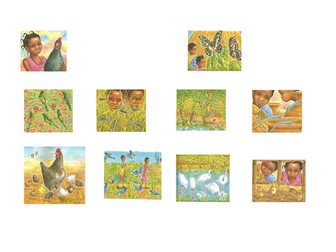 Handa's Hen - Sequencing pictures