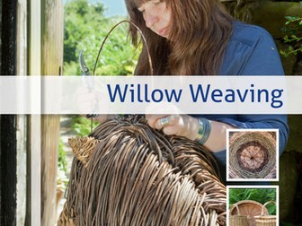 Willow weaving with Rachel Poole